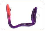 Blue Purple/Fire Tail 6" weedless