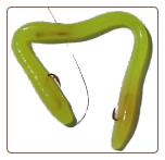 Yellow Chartreuse 6" red hooks 